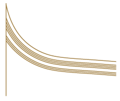 image of the body trim logo in gold